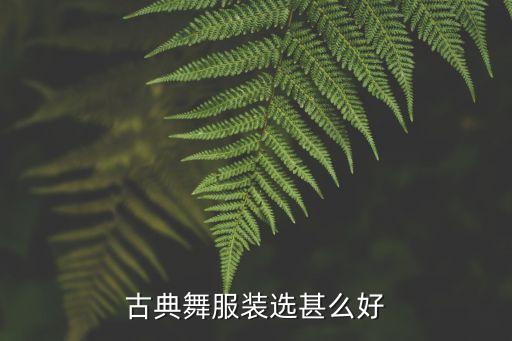 古典舞服装选甚么好