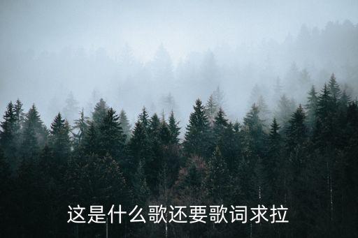这是什么歌还要歌词求拉