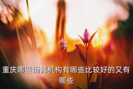重庆舞蹈培训机构排名，重庆学街舞那里好