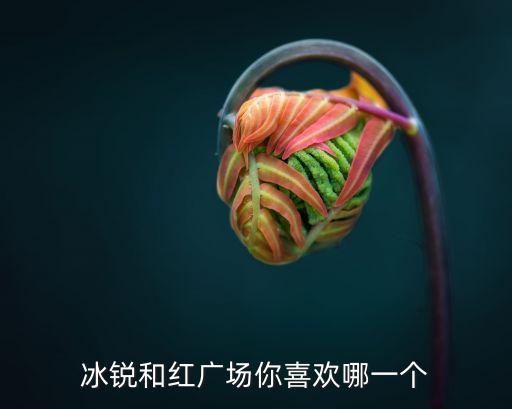冰锐和红广场你喜欢哪一个