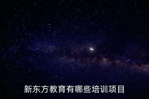 新东方教育有哪些培训项目