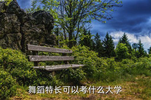 舞蹈特长可以考什么大学