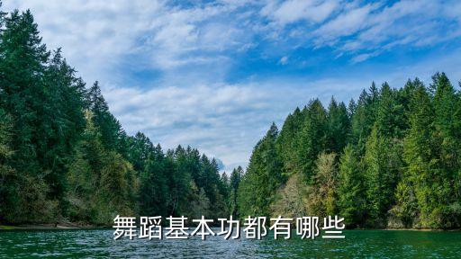 舞蹈基本功小知识，学舞蹈的基本动作