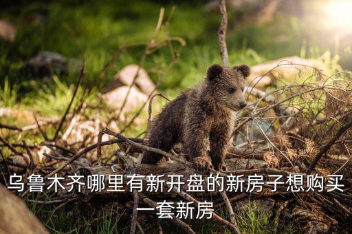 乌鲁木齐哪里有新开盘的新房子想购买一套新房