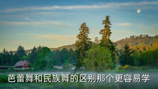芭蕾舞和民族舞的区别那个更容易学