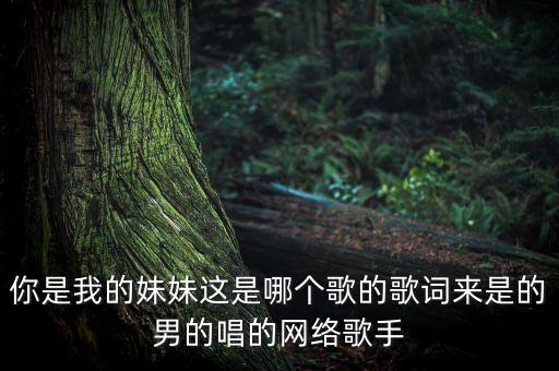 妹妹我是你妹妹什么歌，一首歌的歌必是这样的如果我是你妹妹别的忘了请问它的