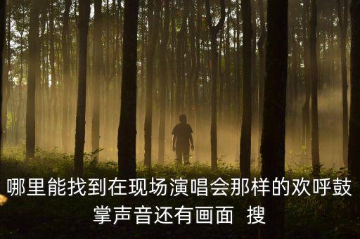 哪里能找到在现场演唱会那样的欢呼鼓掌声音还有画面  搜