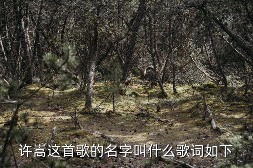 歌词里有广场什么香味，许嵩这首歌的名字叫什么歌词如下