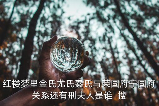 红楼梦里金氏尤氏秦氏与荣国府宁国府关系还有刑夫人是谁  搜