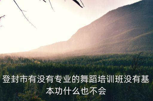 登封市有没有专业的舞蹈培训班没有基本功什么也不会