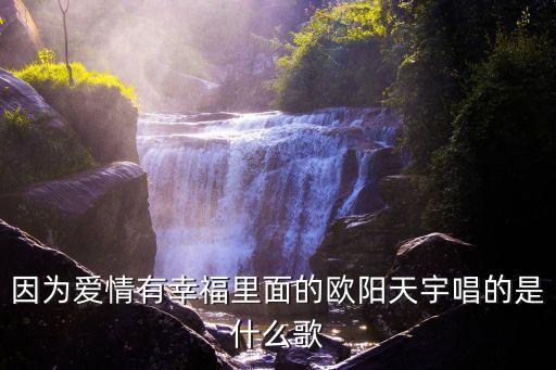 因为爱情有幸福里面的欧阳天宇唱的是什么歌