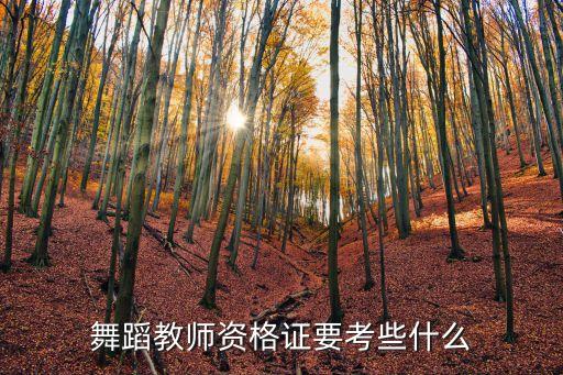 舞蹈教师资格证要考些什么