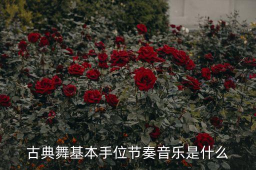 古典舞基本手位节奏音乐是什么