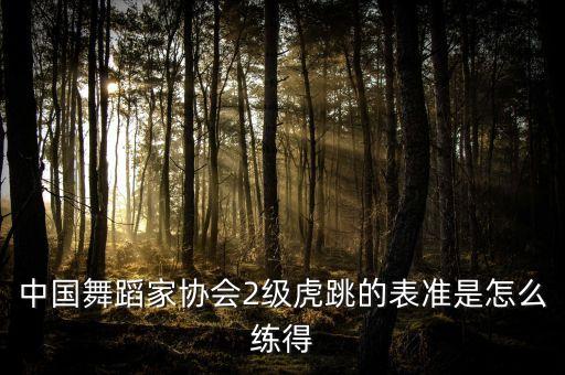 中国舞蹈家协会2级虎跳的表准是怎么练得