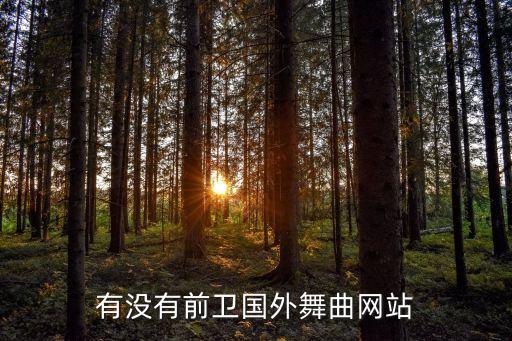 世界舞蹈网站有哪些，世界第一街舞网站是哪个