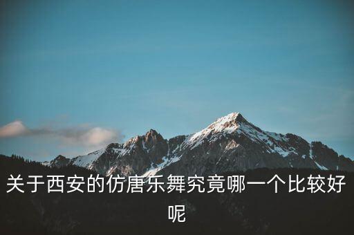 关于西安的仿唐乐舞究竟哪一个比较好呢