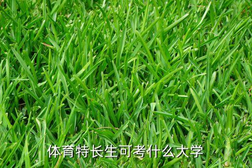 体育特长生可考什么大学
