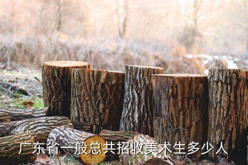 2021广东舞蹈艺考人数，天津艺术职业学院和广东文艺职院哪个好