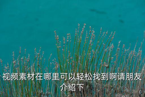 视频素材在哪里可以轻松找到啊请朋友介绍下