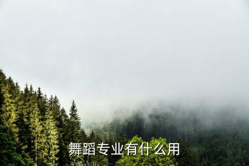 专业舞蹈是什么意思，dance by dancer的汉语意思
