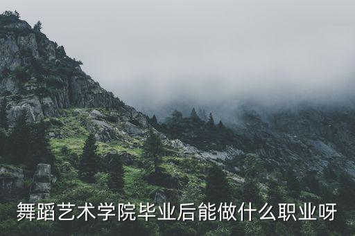 舞蹈艺术学院毕业后能做什么职业呀