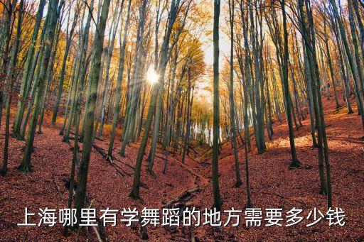 上海哪里有学舞蹈的地方需要多少钱