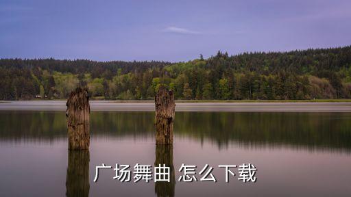 康电情歌春英广场舞曲在哪里下载，春英广场舞泛水荷塘的歌曲到哪里去下载