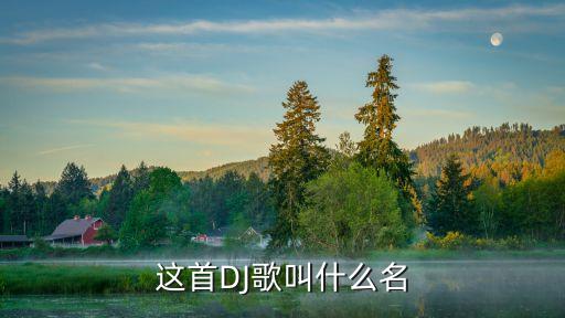 这首DJ歌叫什么名