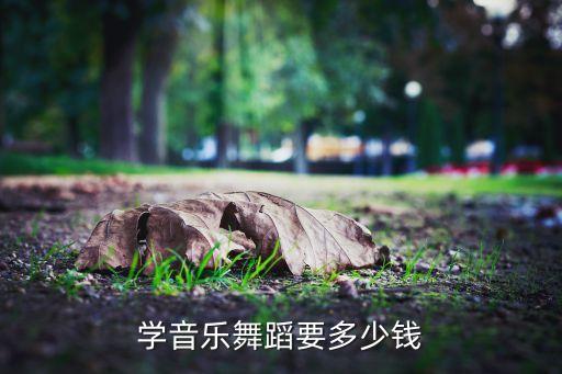 学音乐舞蹈要多少钱