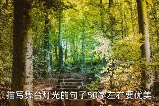 描写舞台灯光的句子50字左右要优美