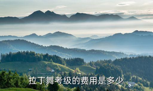 中国舞儿童考级多少钱，少儿拉丁舞考级银牌多少钱