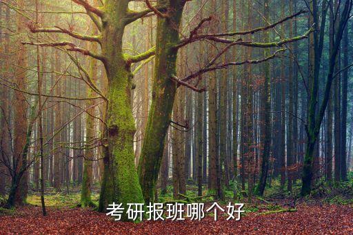 考研集训营哪个机构好，准备考研 报哪个辅导班好