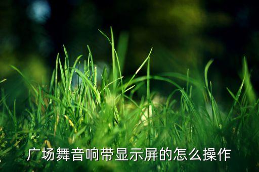 跳广场舞音响带屏幕，广场舞音响带显示屏的怎么操作