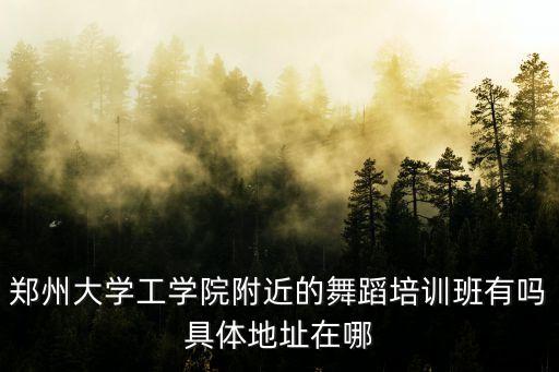 郑州大学工学院附近的舞蹈培训班有吗具体地址在哪