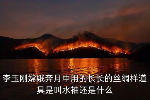 李玉刚嫦娥奔月中用的长长的丝绸样道具是叫水袖还是什么