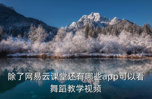 除了网易云课堂还有哪些app可以看舞蹈教学视频