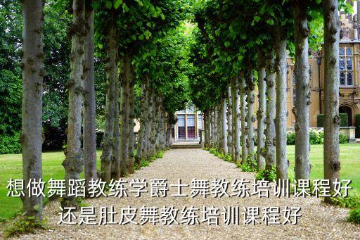 现在学什么舞蹈教练吃香，想做舞蹈教练学爵士舞教练培训课程好还是肚皮舞教练培训课程好