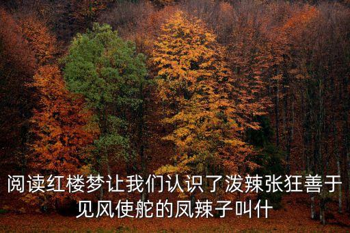 阅读红楼梦让我们认识了泼辣张狂善于见风使舵的凤辣子叫什