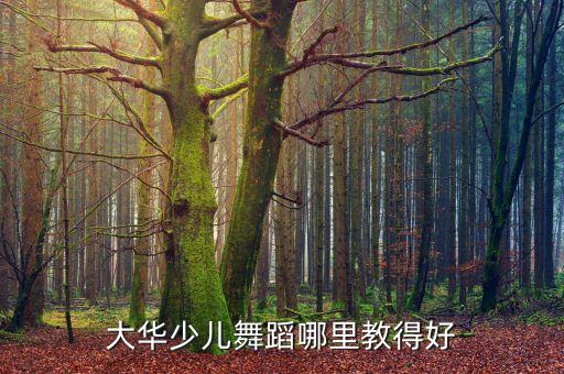 大华少儿舞蹈哪里教得好