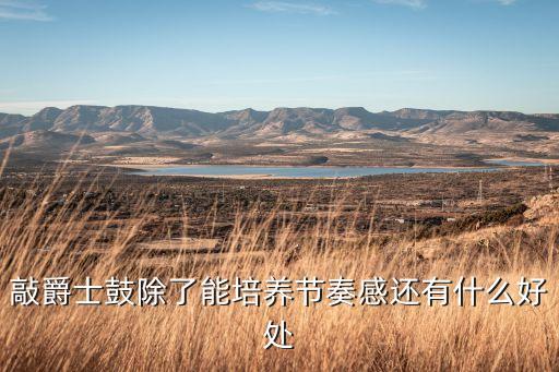 敲爵士鼓除了能培养节奏感还有什么好处