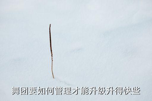 舞团要如何管理才能升级升得快些