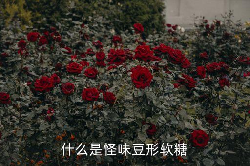 什么是怪味豆形软糖