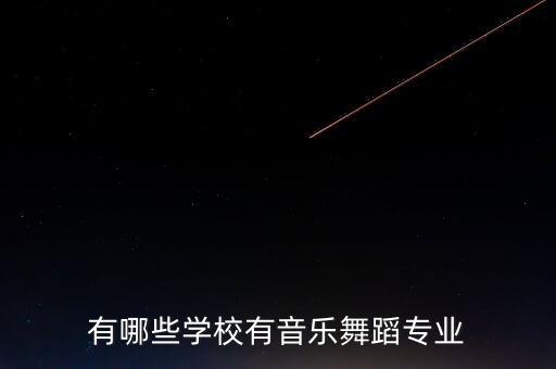 有哪些学校有音乐舞蹈专业