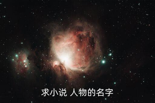 求小说 人物的名字