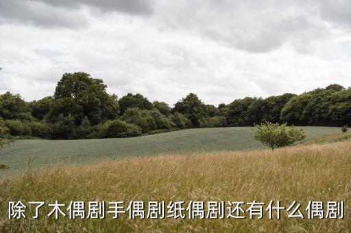除了木偶剧手偶剧纸偶剧还有什么偶剧
