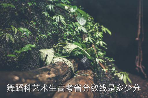 安徽省高考舞蹈分数线是多少，安徽历年艺术高考分数线是多少