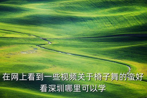 深圳什么广场舞视频，深圳ZYT曳步舞团 美女温猫 自由小跳的背景音乐是什么