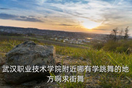 武汉职业技术学院附近哪有学跳舞的地方啊求街舞