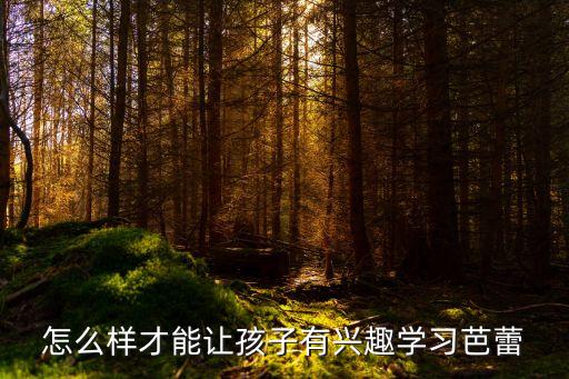 怎么样才能让孩子有兴趣学习芭蕾