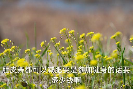 健身房里的舞蹈价格大概多少，无锡市哪家健身房教授爵士舞或肚皮舞不是少儿的是成人的